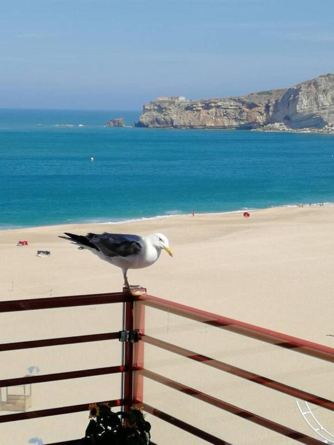 Dream -beautiful Spot * Nazaré